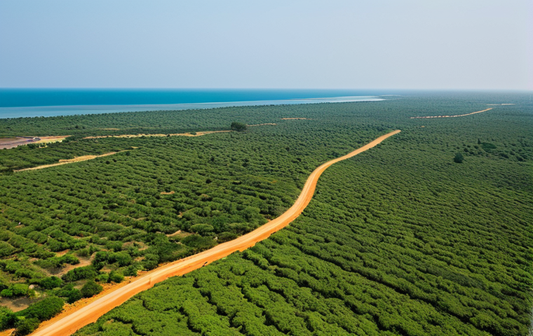 Gambia Road Conditions Unveiling Essential Facts Before You Drive 2 gambia - 이미지 1