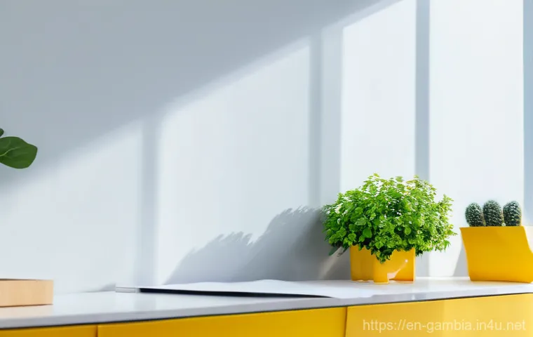 감비아 도난 및 분실 시 대처법 관련 이미지 1