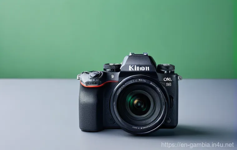 감비아 도난 및 분실 시 대처법 이미지 2 감비아 도난 및 분실 시 대처법 이미지 2